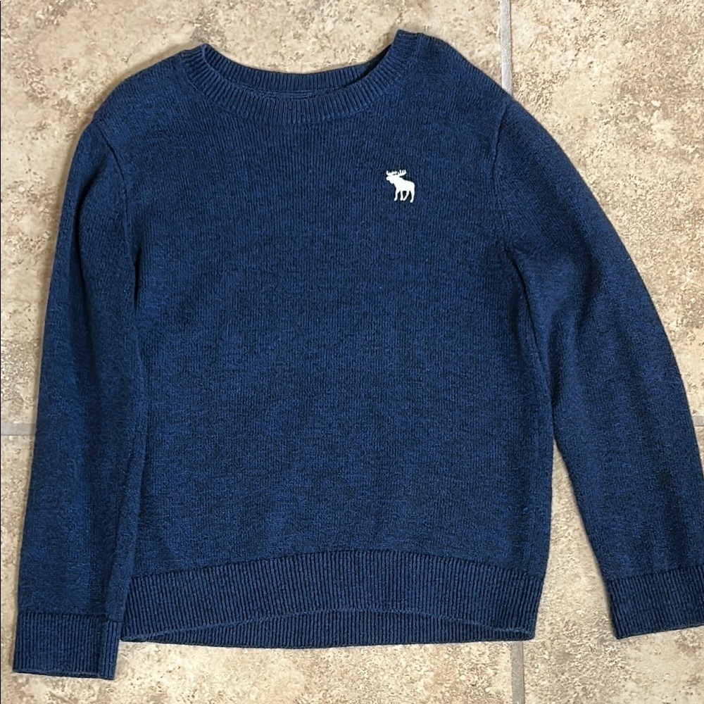 Abercrombie Kids Lightweight Blue Sweater with Logo